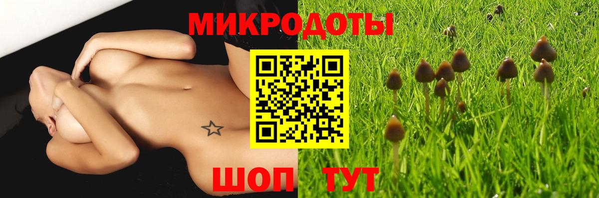 Псилоцибиновые грибы прущие грибы Советский